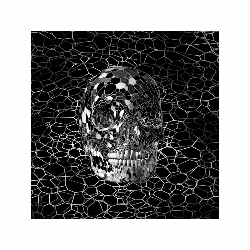 3D Mosaic Skull Lenticular Animation