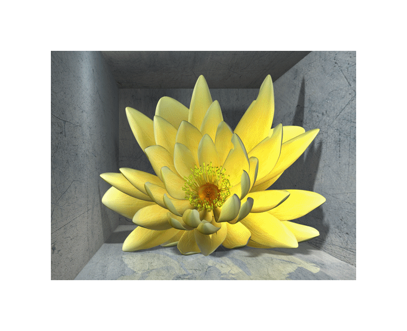 3D Flower Lenticular Animation